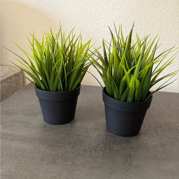Green grass faux Plant in Black Pot - Set of 2 - Picture 3 of 3